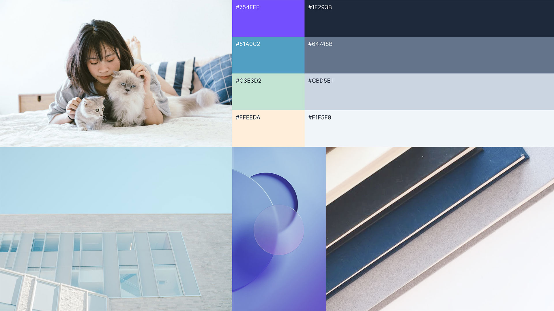 Homeward Tails mood board and color palette.