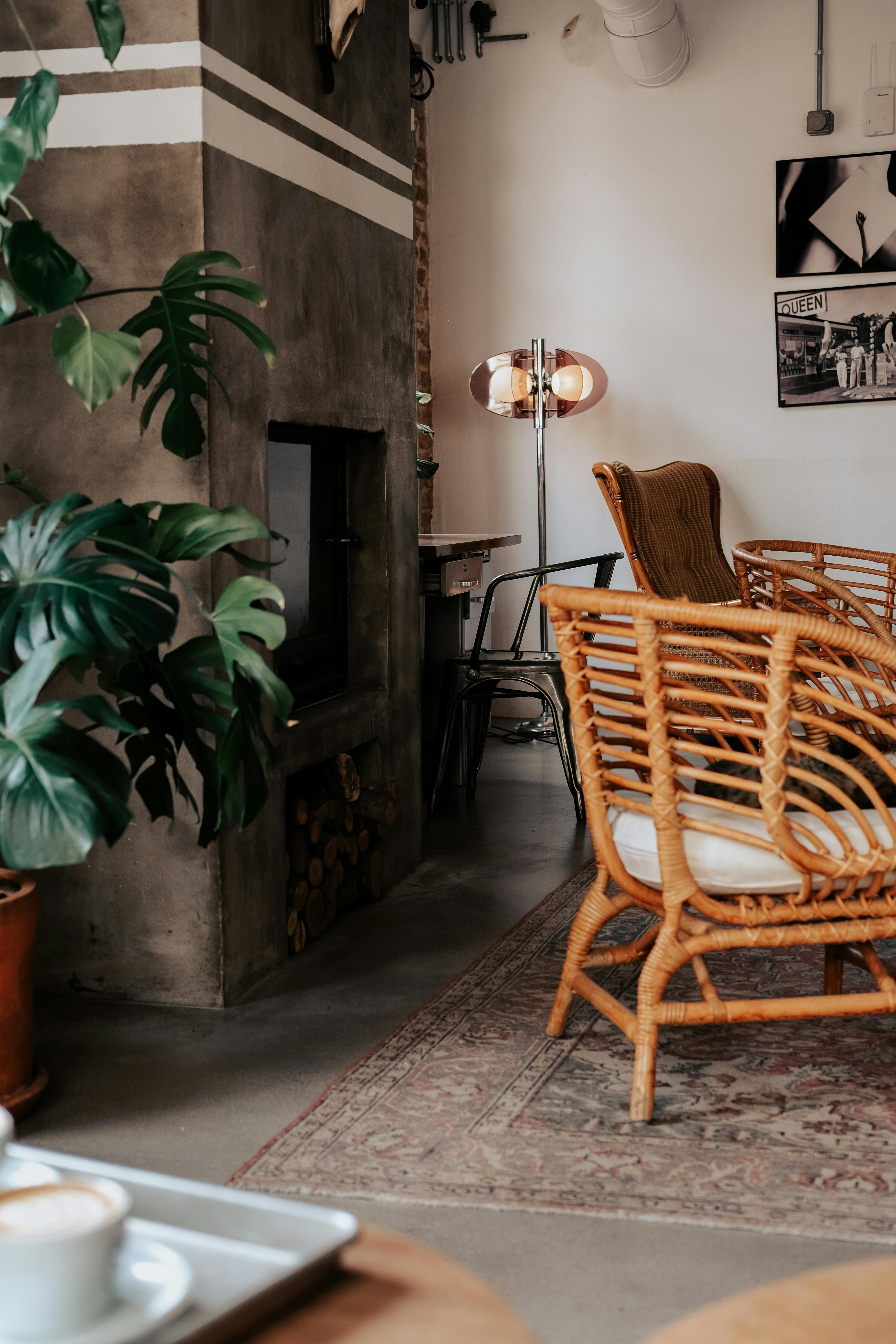 Shot of a small table with a chair, plant, and dappled sunlight.